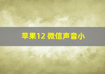 苹果12 微信声音小